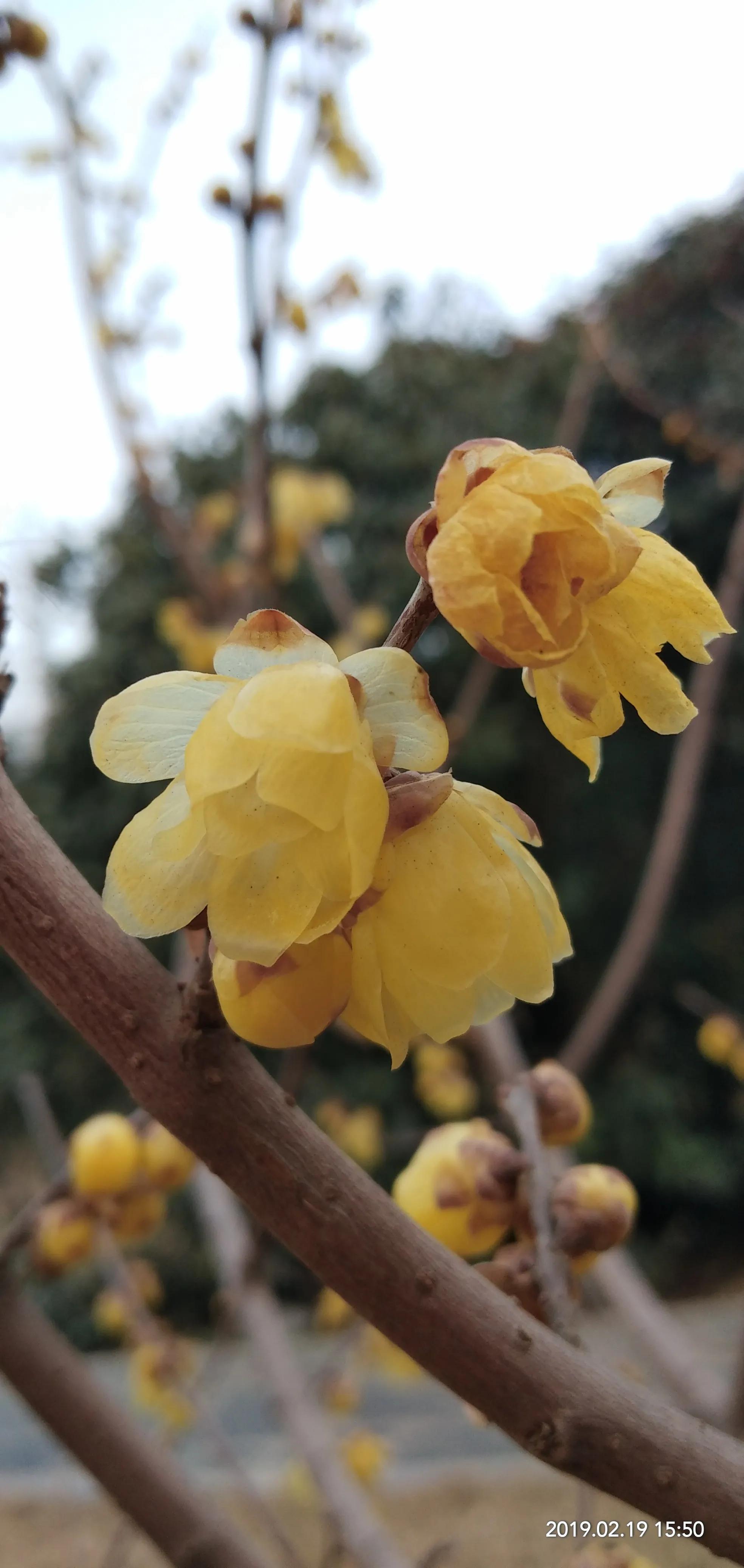 迟到治愈系视频,迟到的复诊