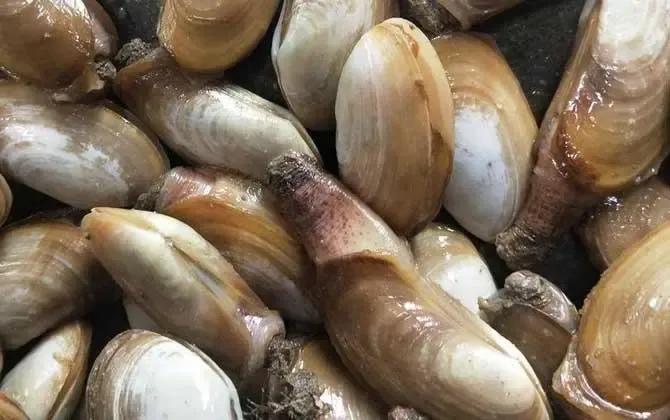 丹东东港旅游攻略自由行,丹东避暑游玩的地方推荐