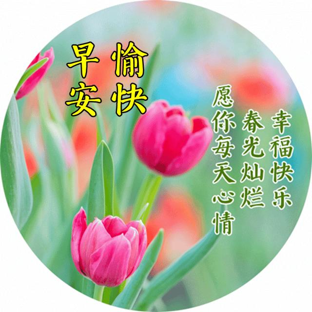 经典早安心语语录大集合36句,经典早安心语语录集锦55条