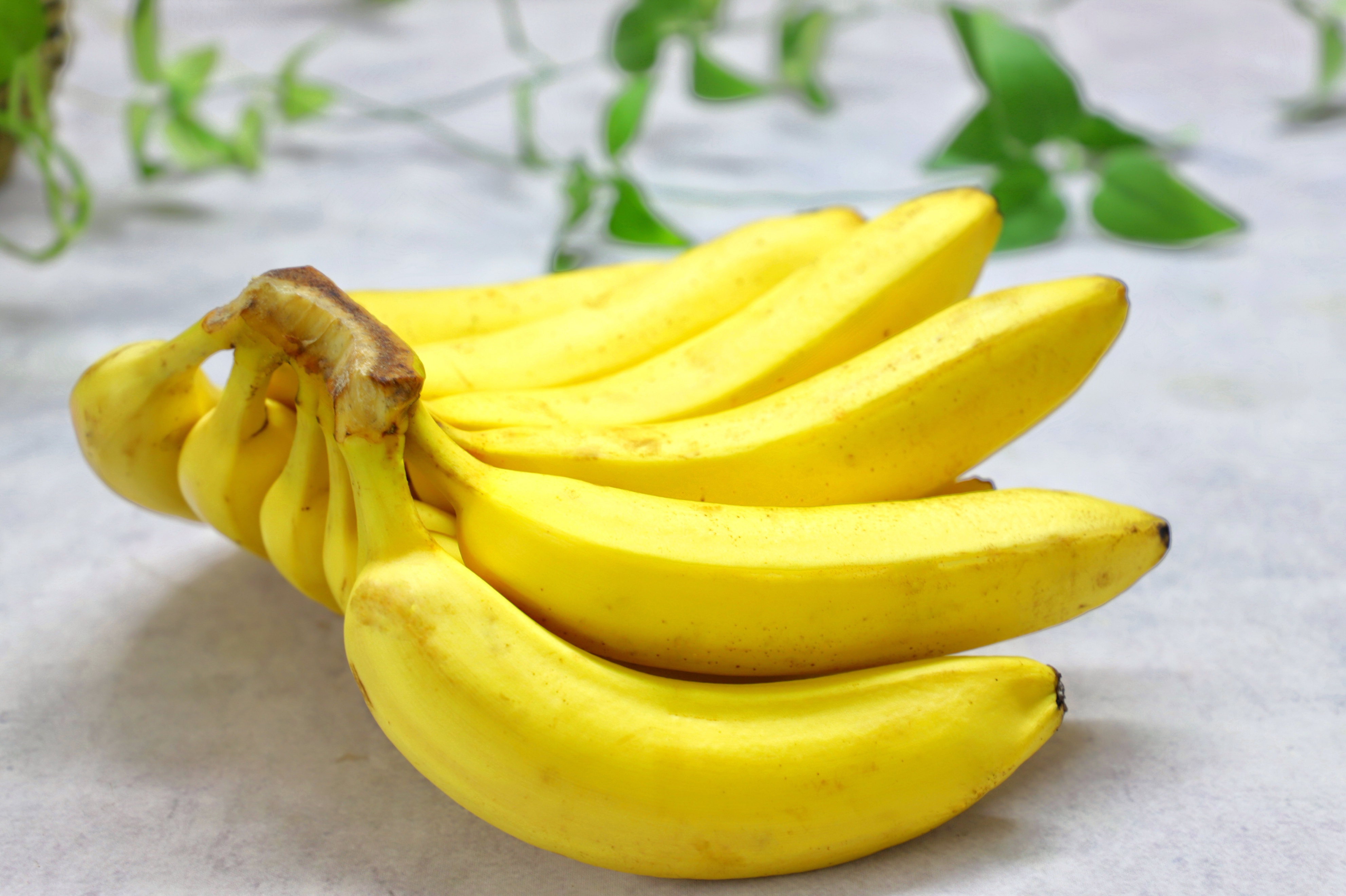 过年吉祥八种水果,新年买哪几种水果最喜庆