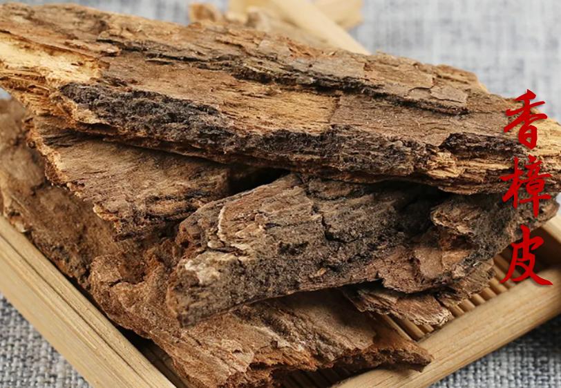 能治风湿的植物是什么,有什么植物治风湿疼痛最有效