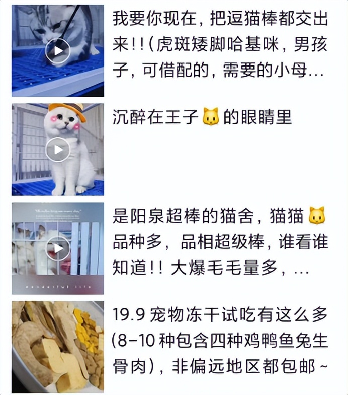 宠物市场的底层逻辑,关于宠物市场的市场分析