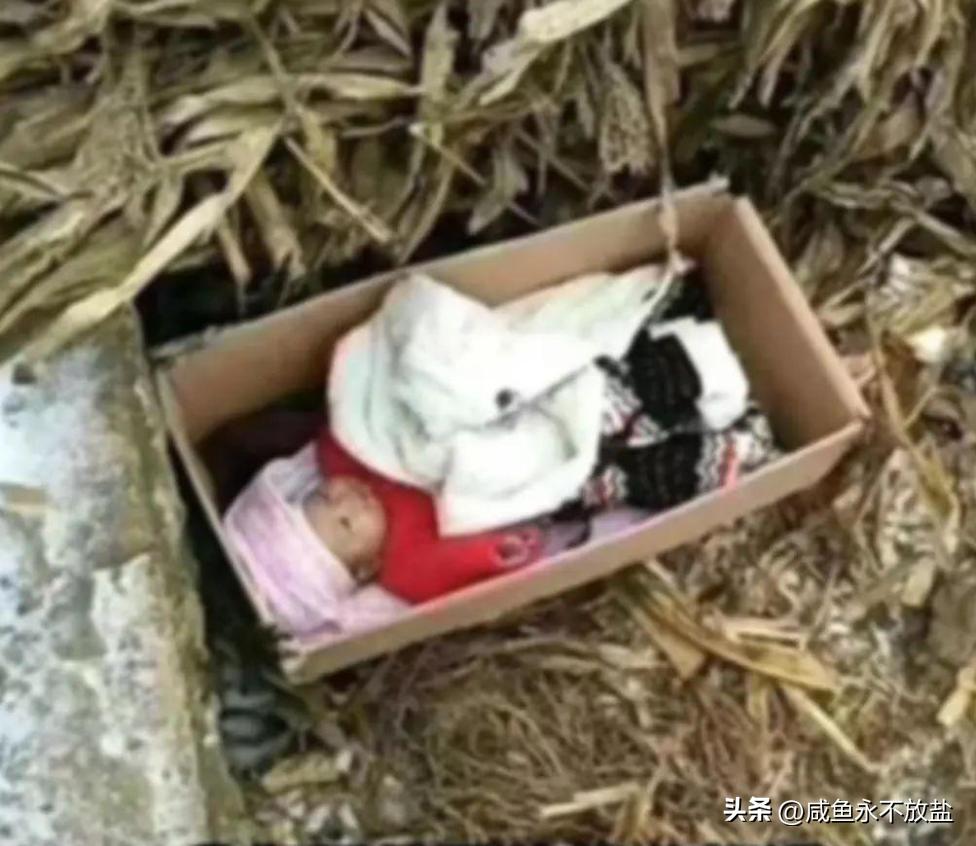 河南老汉捡双性弃婴现状真相,河南50岁老头养大弃婴