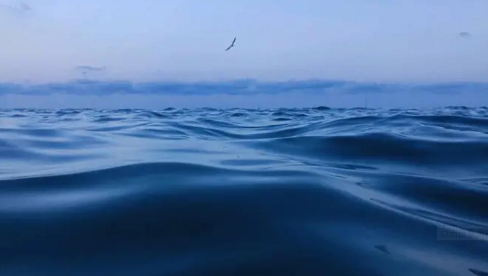 内容为王吸引流量为终点,内容为王是新媒体的不二法则