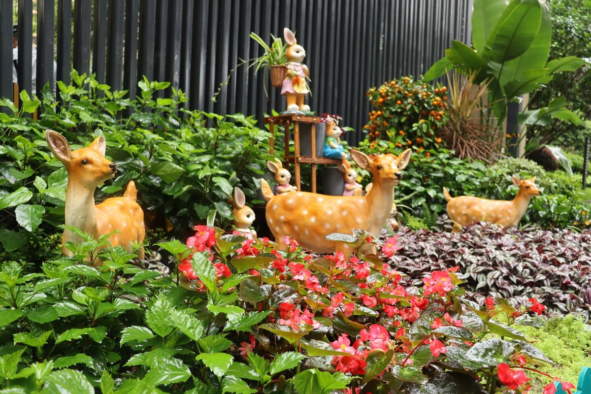 你们的小区绿化都是什么样的,小区绿化你觉得怎么样