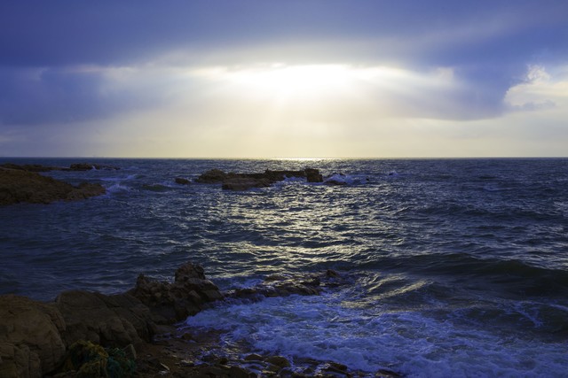 海口五一赶海时间和最佳赶海时间,目前海边旅游赶海推荐