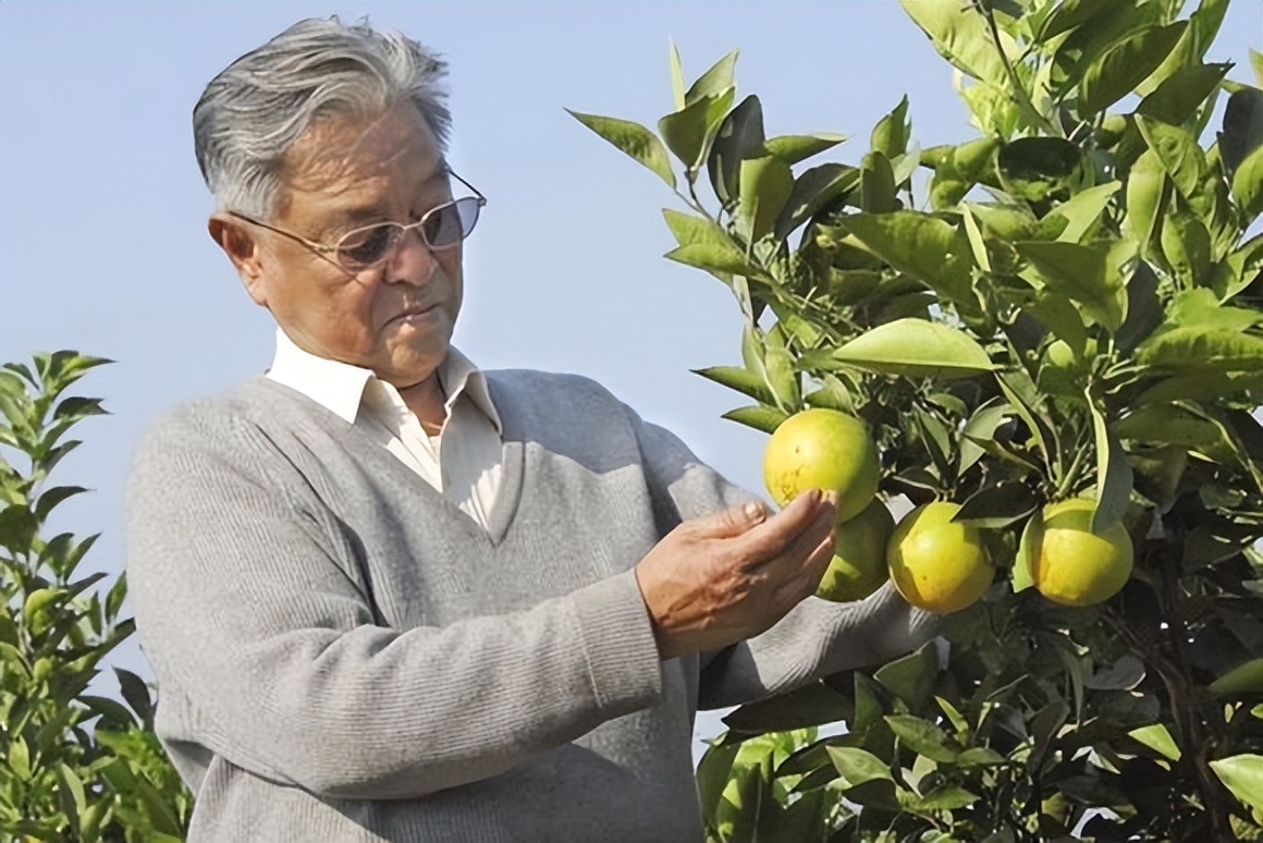 烟草大王褚时健为何入狱,50岁入狱73岁创业女版褚时健