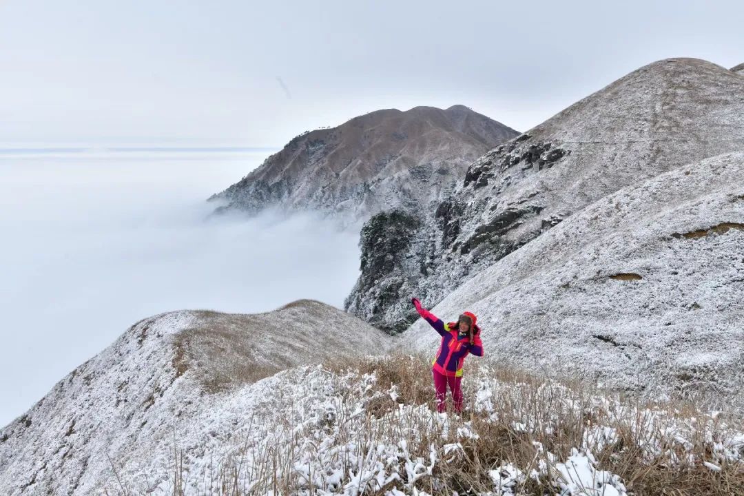 我赚不到钱的时候,经常这样做,收入也就越来越好了
