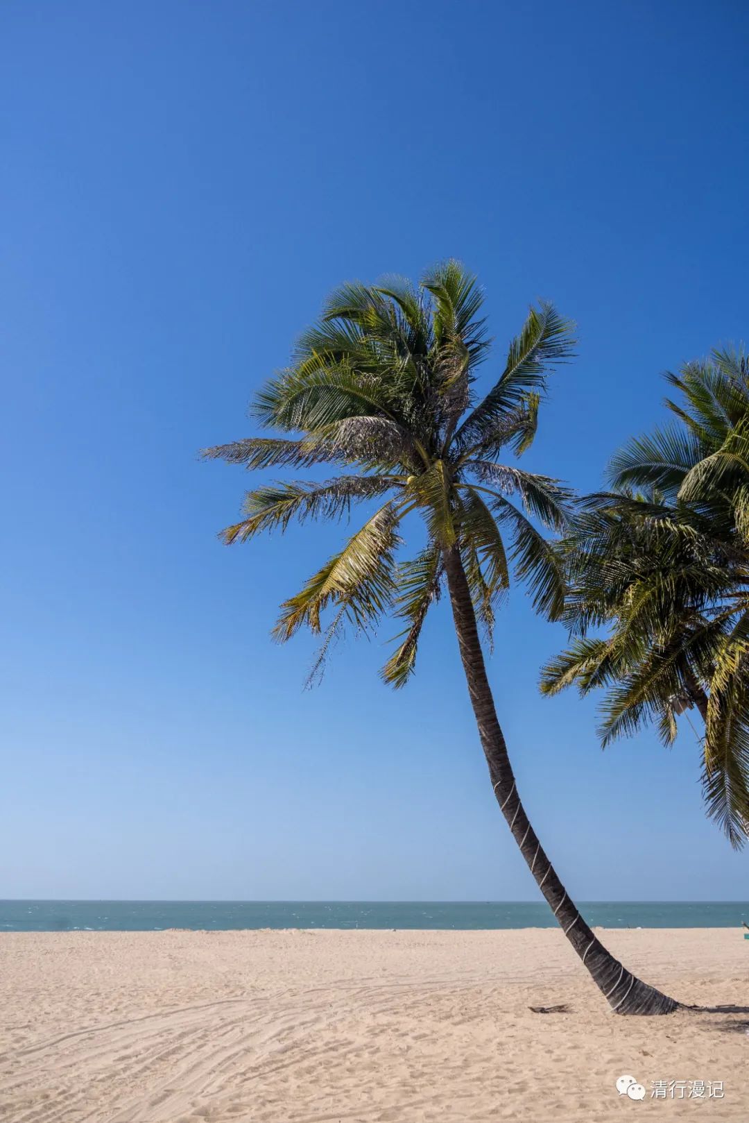 海南分界洲旅游攻略,海南乐东龙沐湾旅游攻略