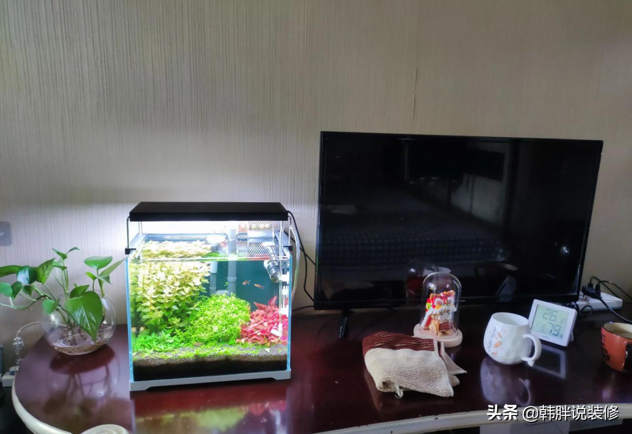 电视机旁不要放这四样东西,电视机前不能摆放的四种物品