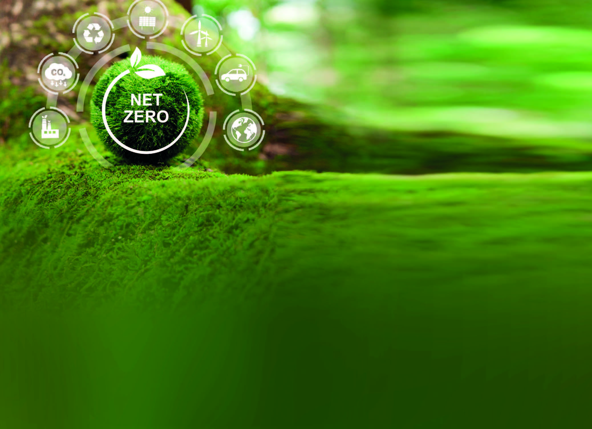 绿色营销的特点表现为,绿色营销策略的现状