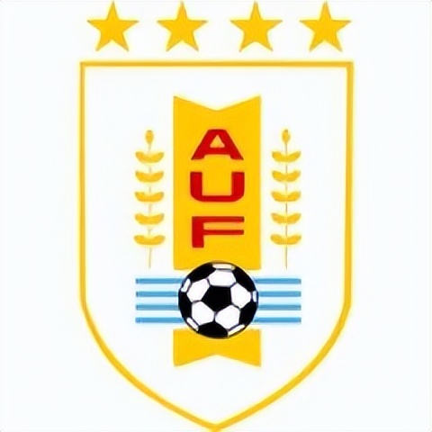 乌拉圭队全解析,乌拉圭队员落泪