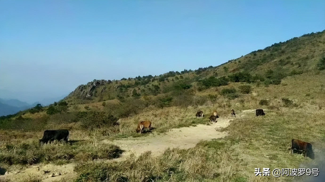 五府岗：华东第三高峰，有一条许多人还不知道的登顶路线