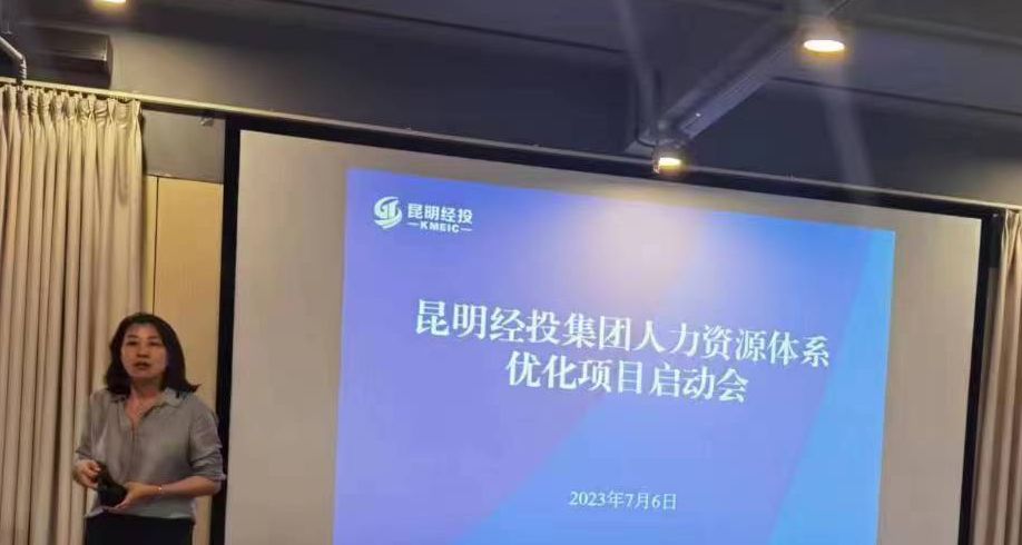 正略咨询团队,正略咨询公司