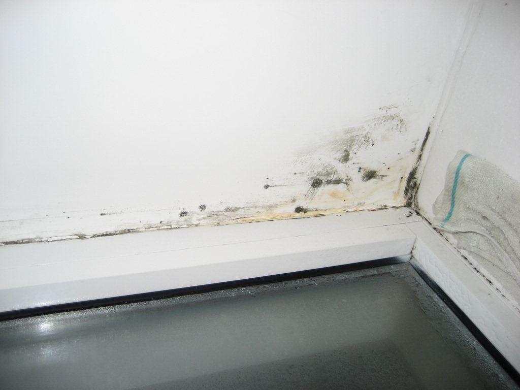 白墙有黑霉点怎么去除,白墙打洞上的污渍怎么去除