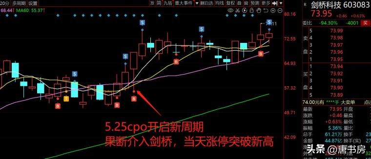 cpo后面会有大行情吗,cpo行情分析