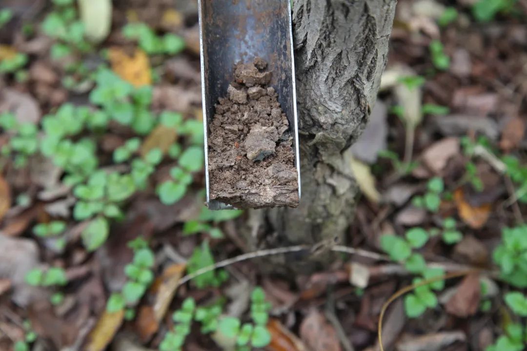 考生榜样：用手铲“发掘”文化千年浪漫的王一凡同学