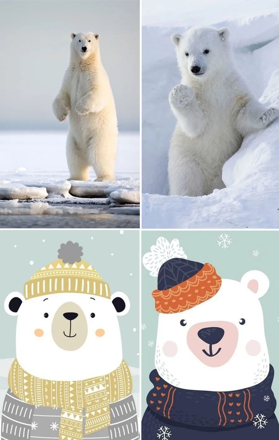 北极熊怎么画简单又好看三年级,北极熊的画法儿童画