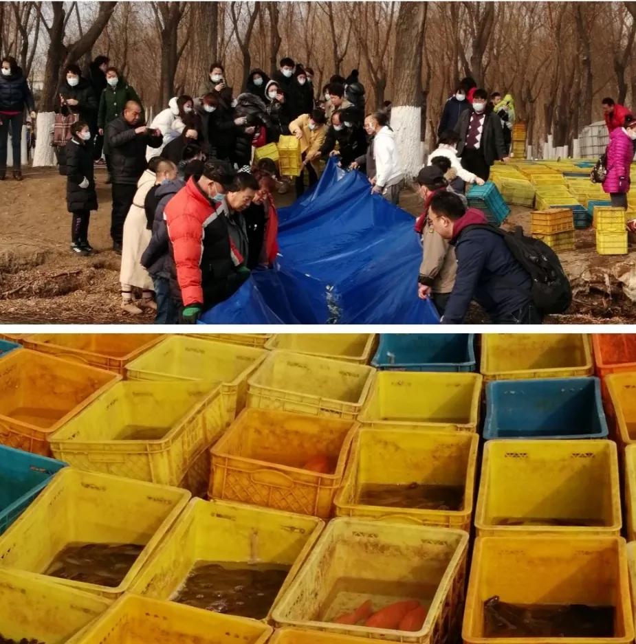 放生就是解困,人们口中说出的放生