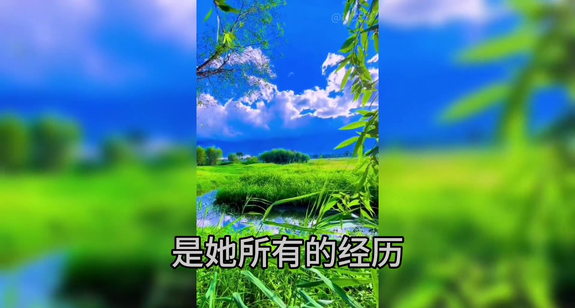 女强人创业成功,女强人成功案例