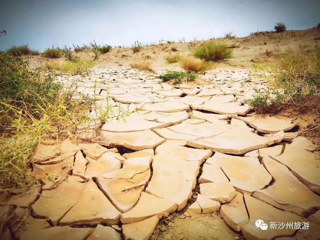 敦煌戈壁挑战赛,敦煌十七届玄奘之路戈壁挑战赛