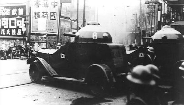 古柯树可以提取什么,在古柯树中提取的生物碱是什么