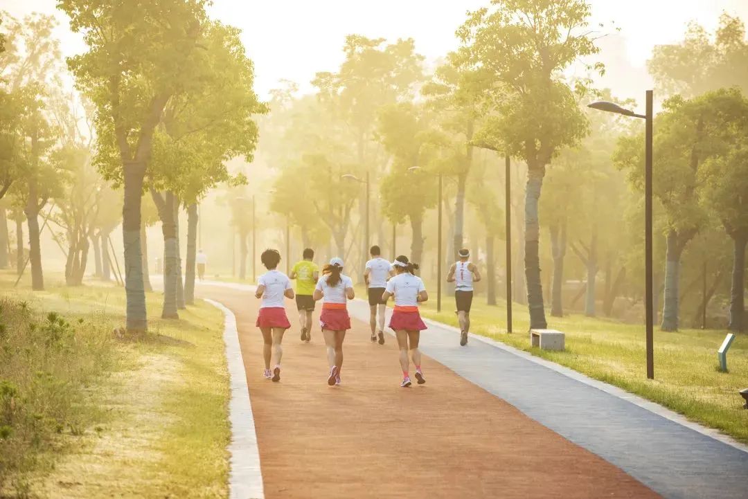 杭州临平粉黛乱子草花海地址,杭州临平30余亩粉黛花海梦幻上线