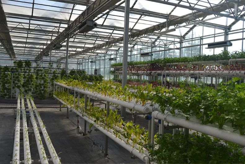 拼多多农场电商行动计划,拼多多和智慧农业