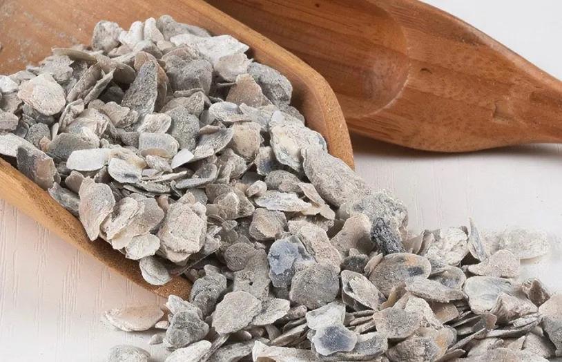 中药牡蛎副作用太大了,中药牡蛎能治痛风吗