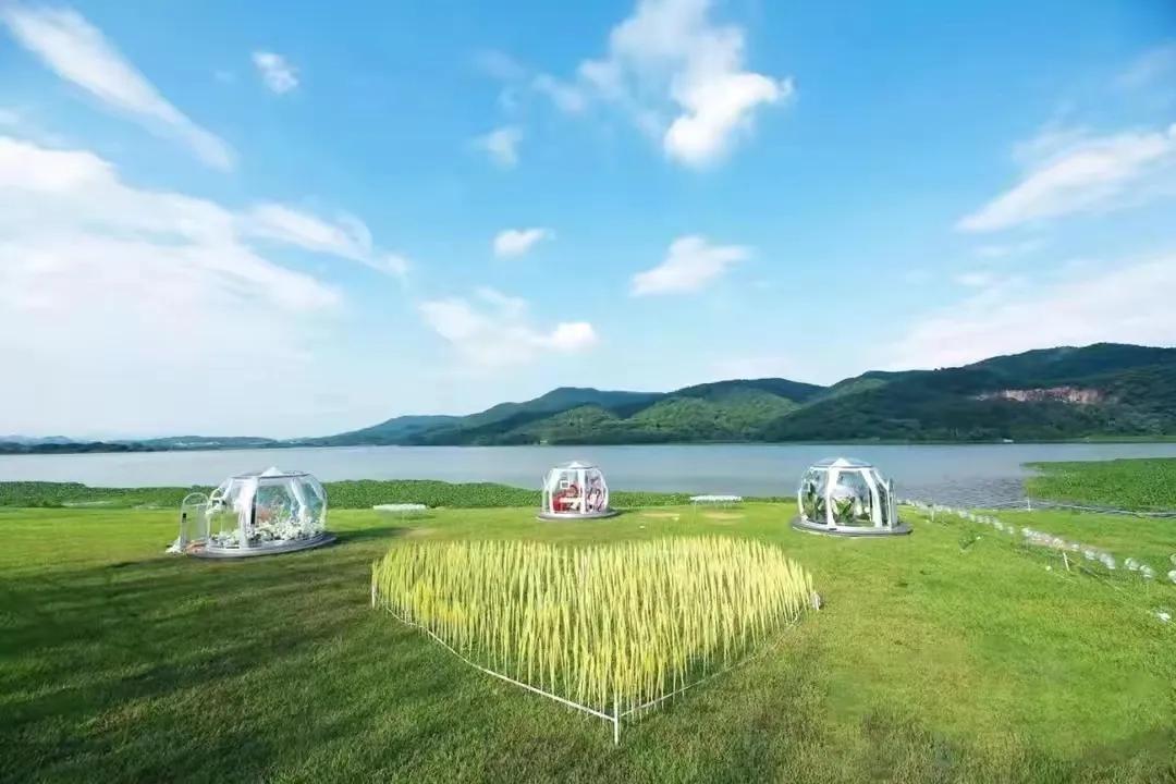 广州西保利均价6000带精装修,广州西高新区保利央企新盘