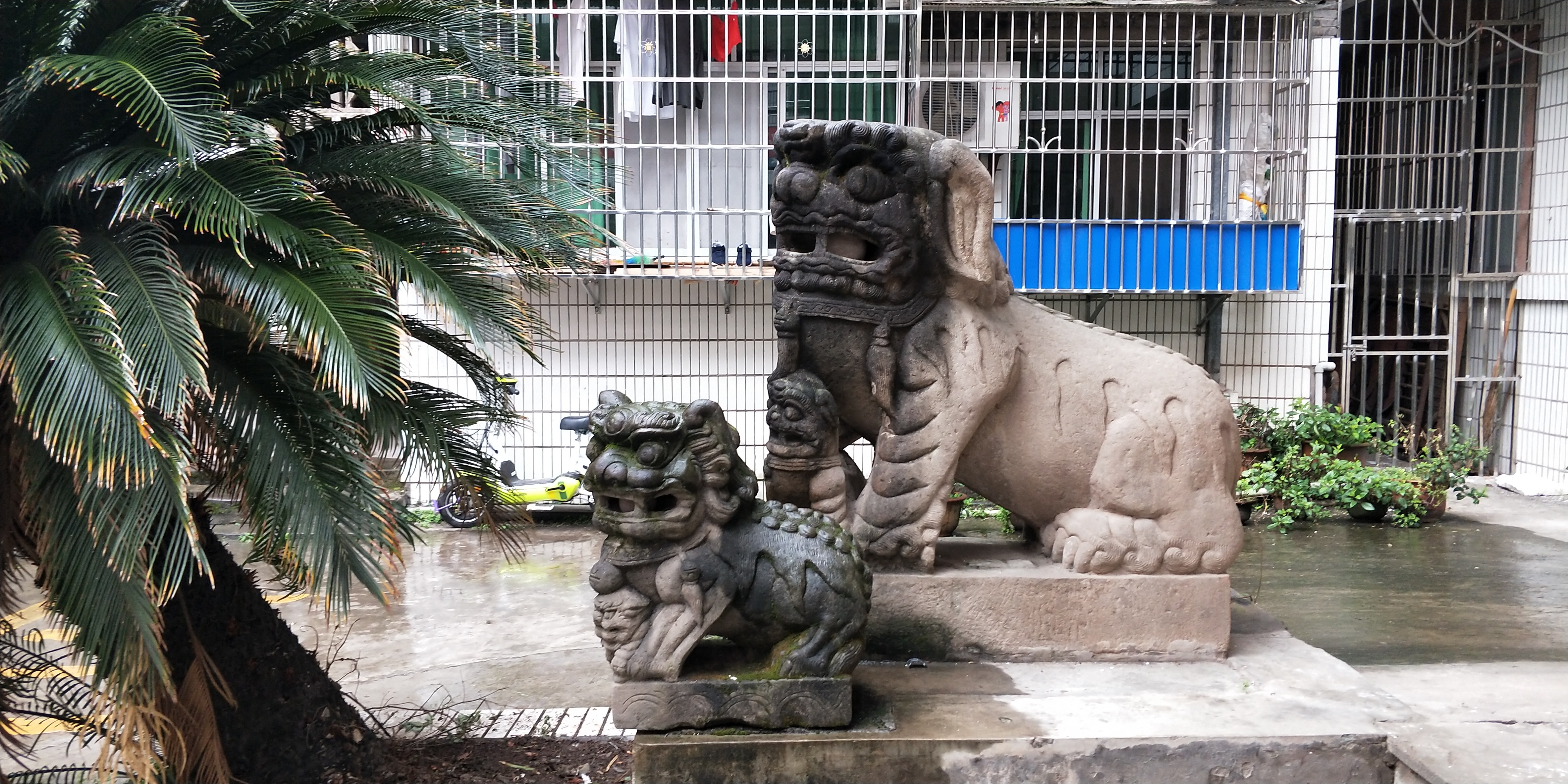 退休后干些什么事挣钱,适合退休后干的生意