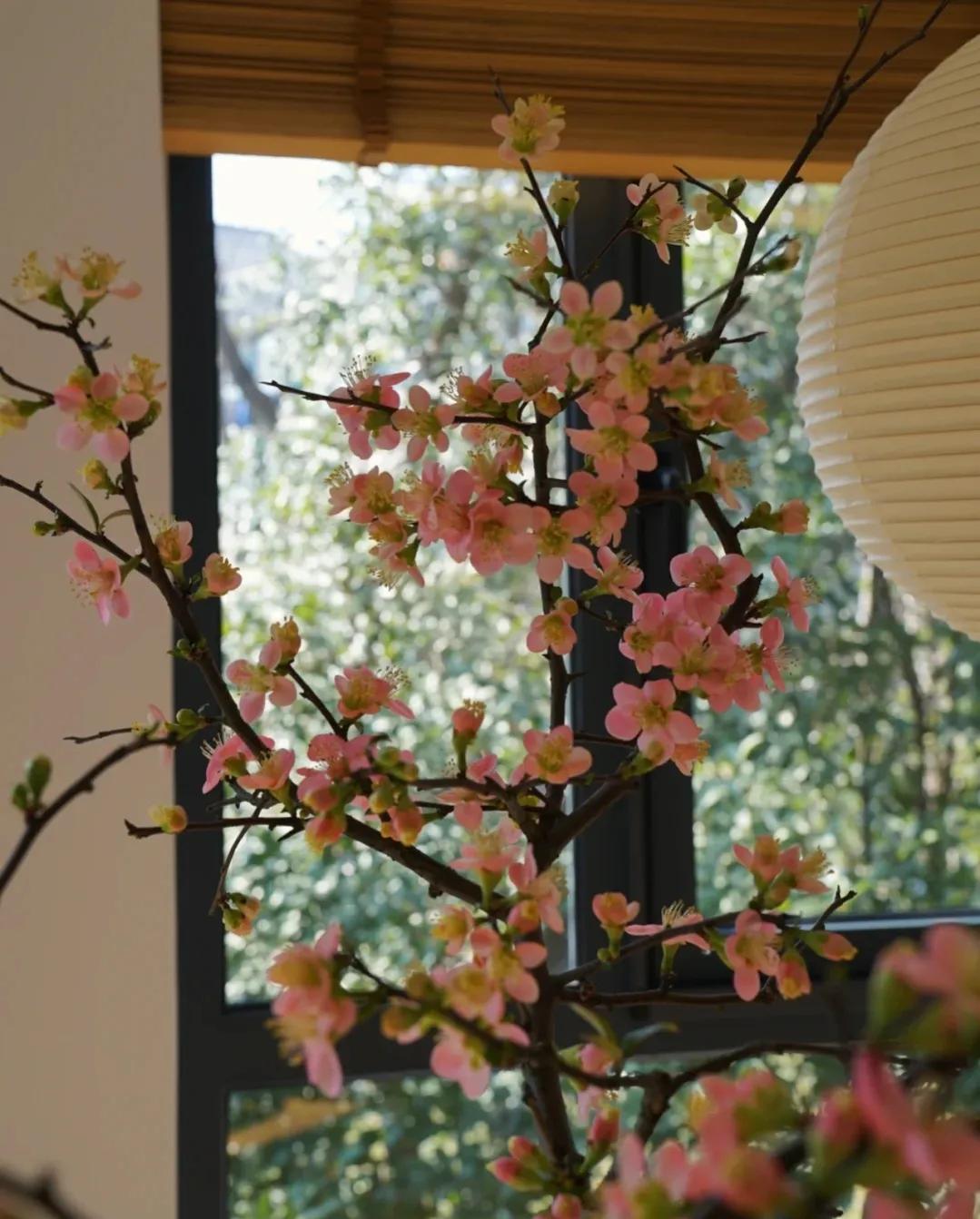 江苏发现一户人家太会装修而走红,安徽房屋室内装修隔断效果图