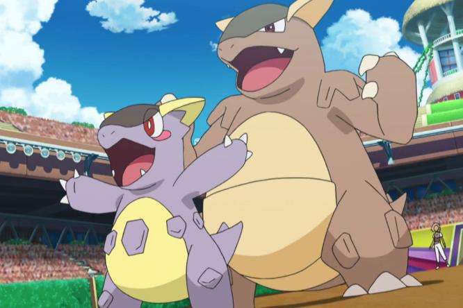 精灵宝可梦袋兽什么属性,宝可梦草系袋鼠