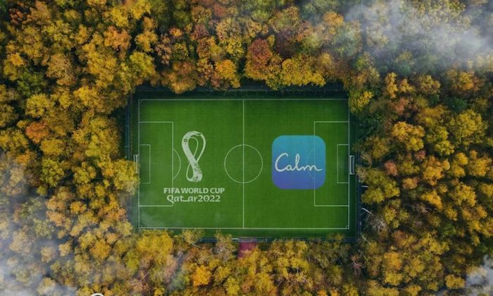 体育营销成功案例分析ppt,体育赛事推广的案例