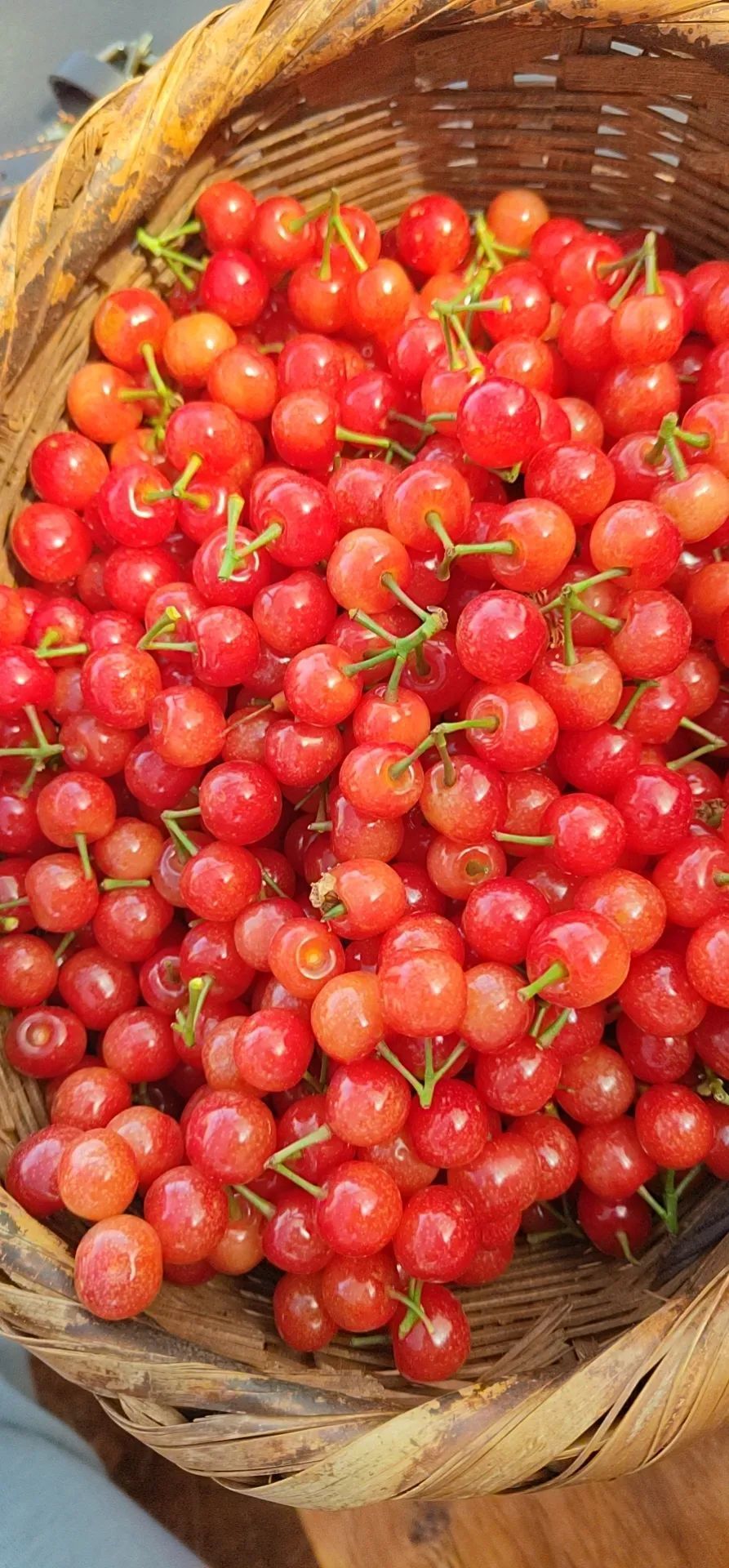 昆明清明节旅游攻略一日游路线,清明昆明周边有什么玩的