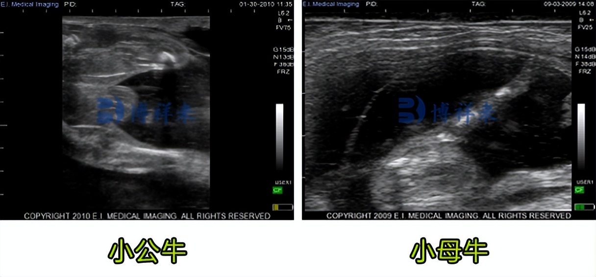 三一泵车油缸憋缸怎么处理,舜宇班长一个月工资多少