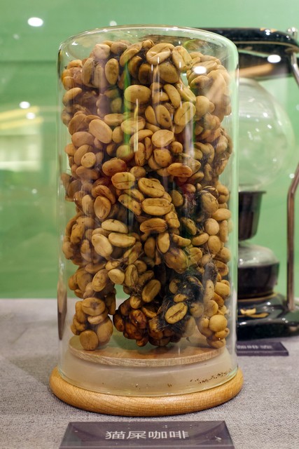 十大高档咖啡猫屎咖啡,猫屎咖啡和什么咖啡最贵