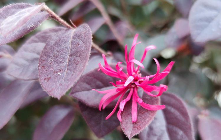 西南方言歇后语,西南官话用词