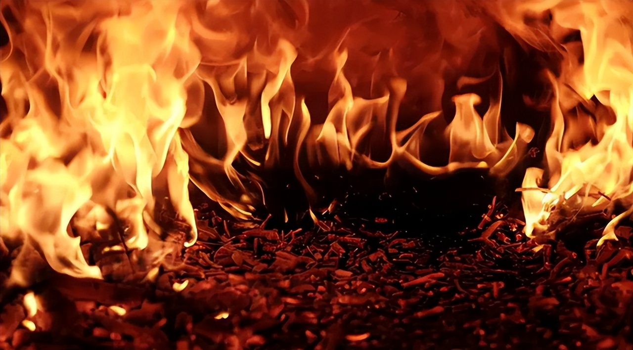 牙齿为何如此坚硬呢,火化后为什么牙齿不见了