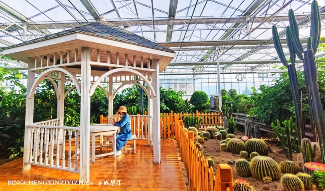 中俄边境线上的小城：逊克，披着“红珠绿边银装”的生态边城