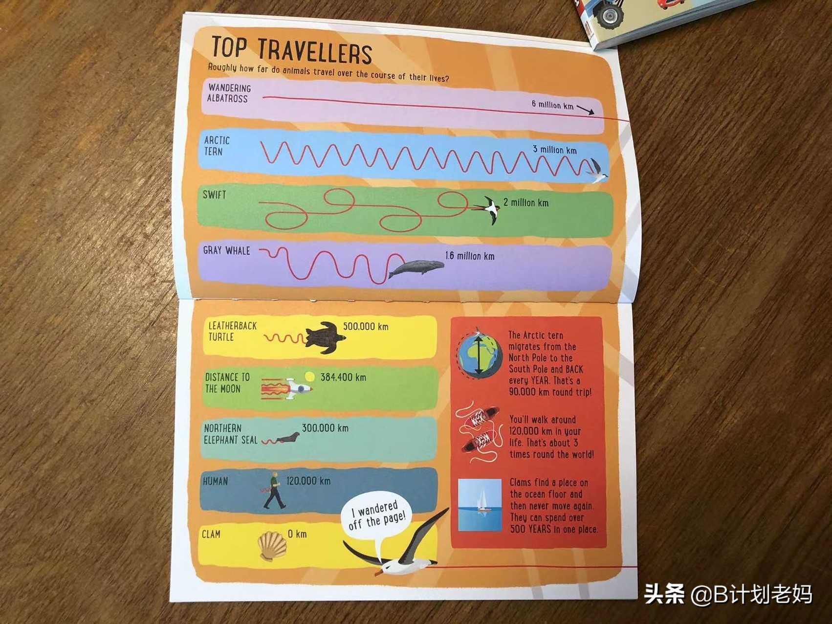 小学三年级英语词汇书推荐,英语词汇书三年级