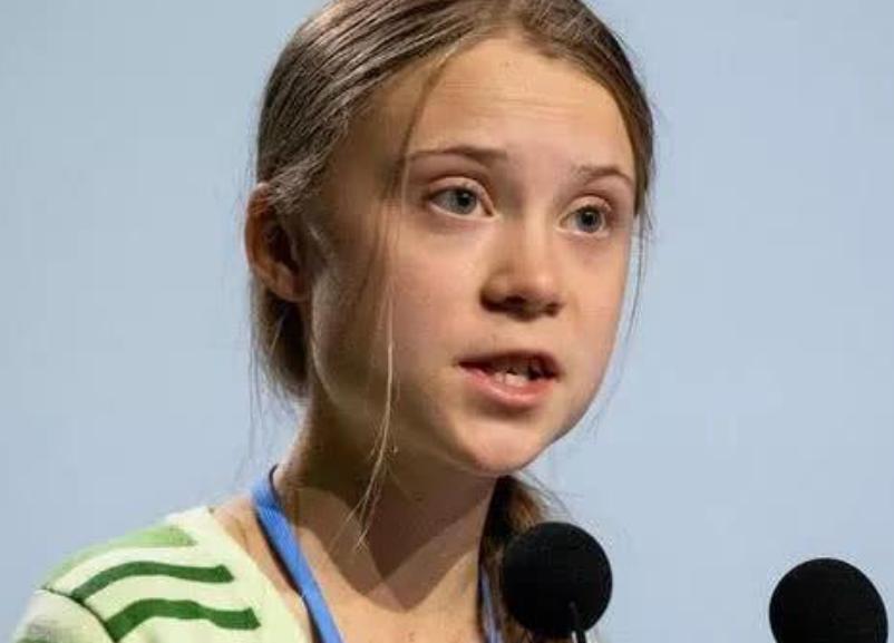 环保少女格蕾塔批判结果,瑞典环保少女格蕾塔桑伯格演讲