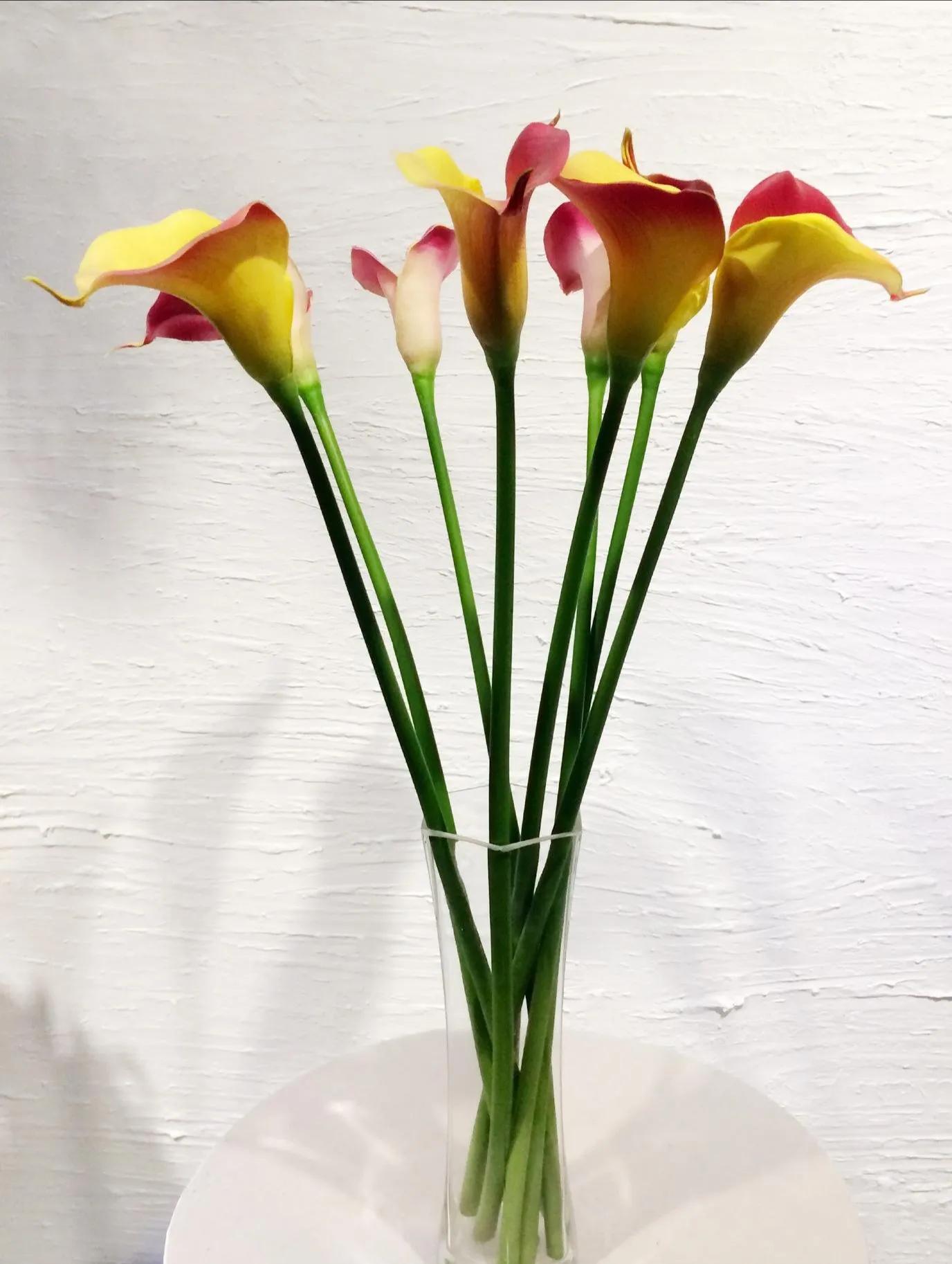 写作素材积累打卡,抄书打卡哪些题材能够增加阅读量