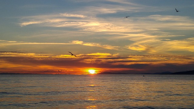 十二星座探秘之旅,星座探秘双子座