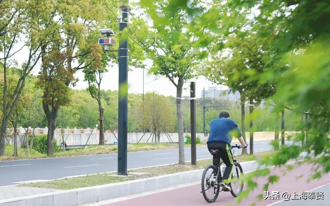 宜良露营的好去处网红打卡,五台山附近网红露营打卡地