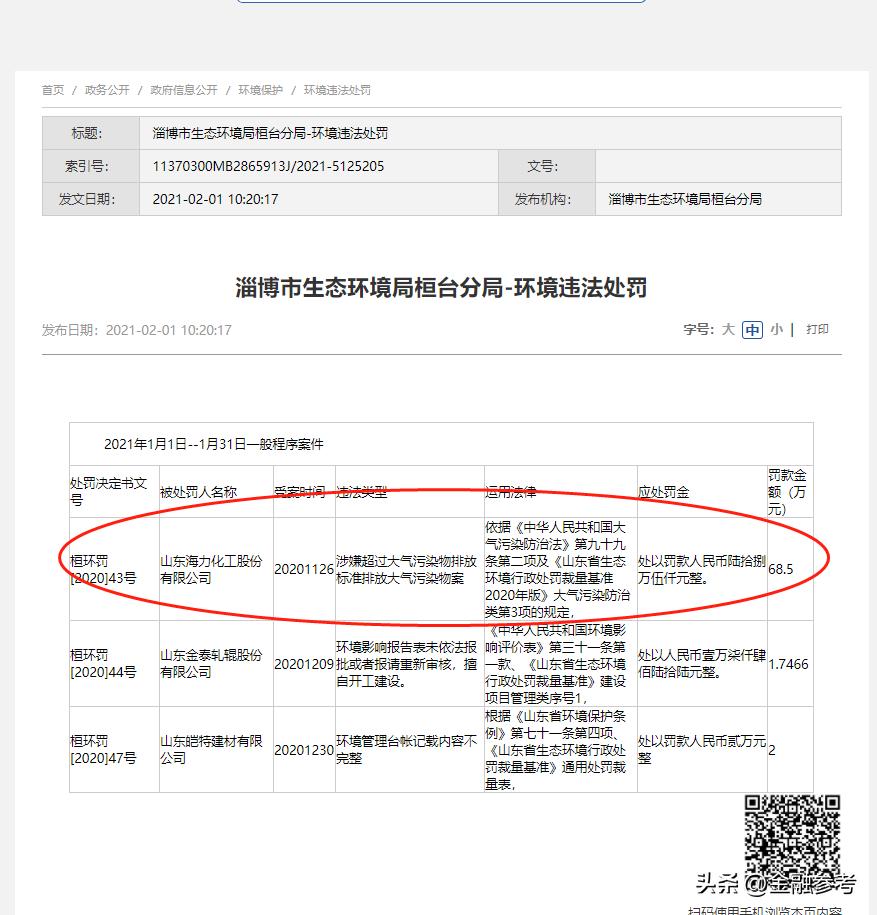 金光集团事件,金光集团被罚