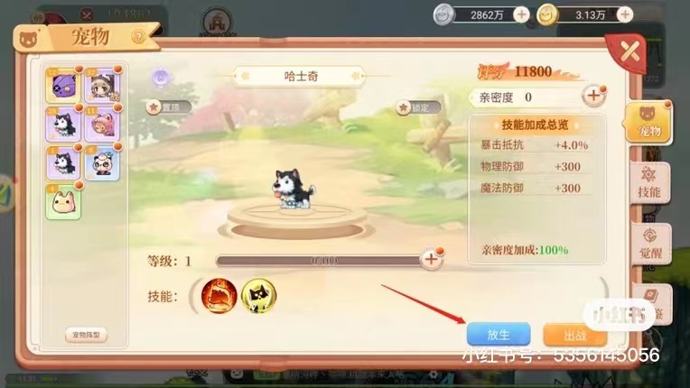 永恒岛手游新手第一天详细攻略,永恒岛手游体力属性有什么用