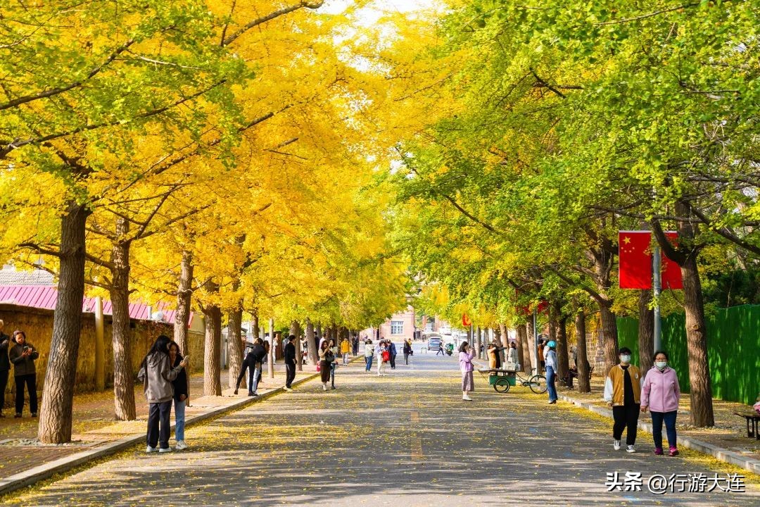 漫步大连风景区,漫步大连风景