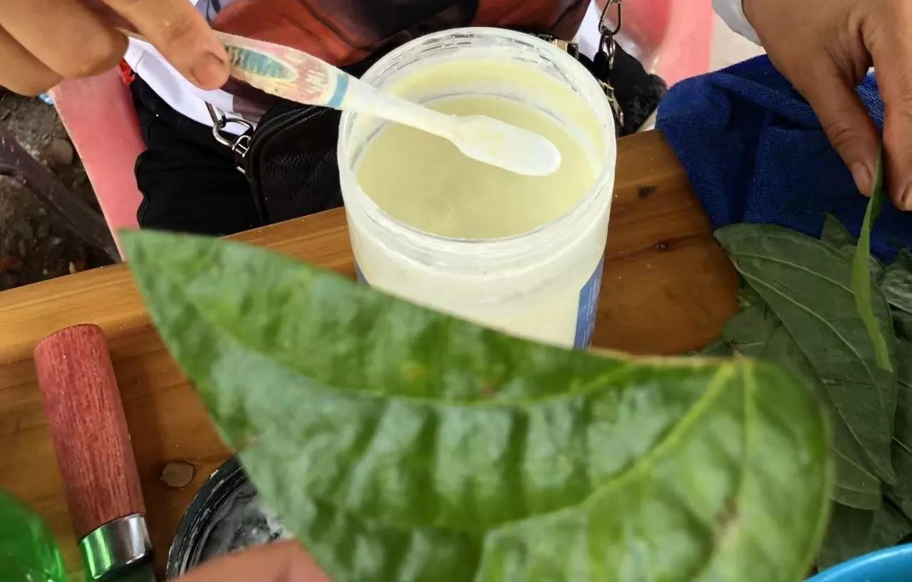 海南文昌博鳌骑行旅游攻略,骑行中国之淄博