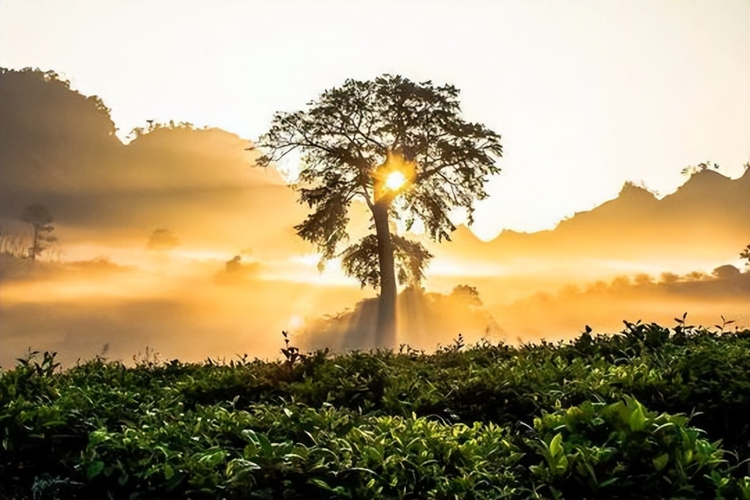 退休以后不该与这三种人来往,为什么退休之后不能经常去串门